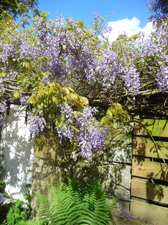 سانت بريوك Maison De Benedicte المظهر الخارجي الصورة