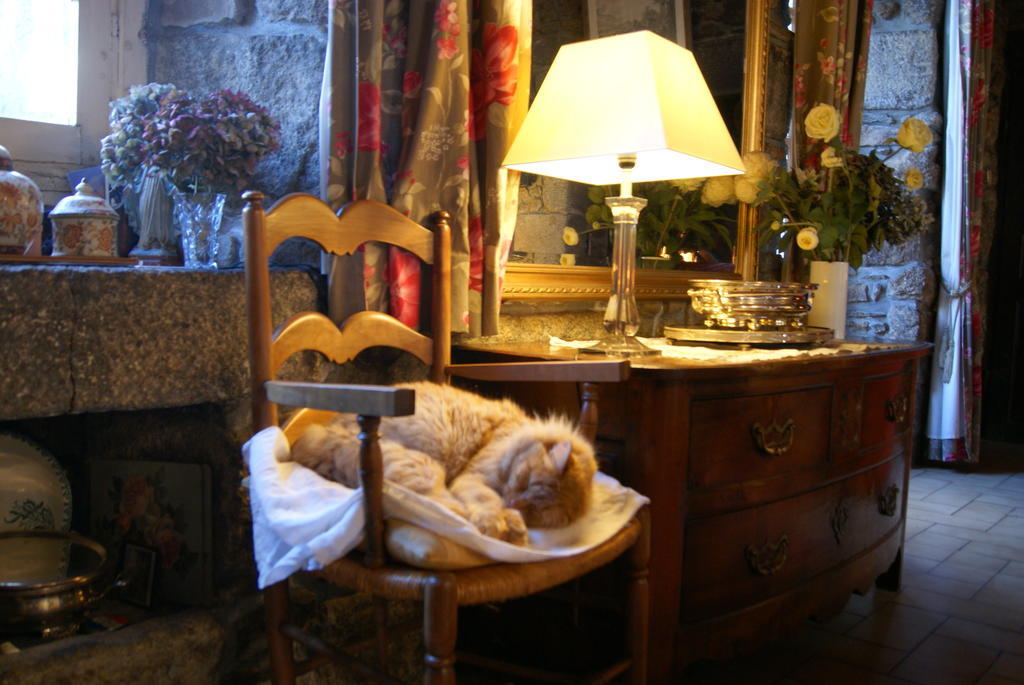سانت بريوك Maison De Benedicte المظهر الخارجي الصورة
